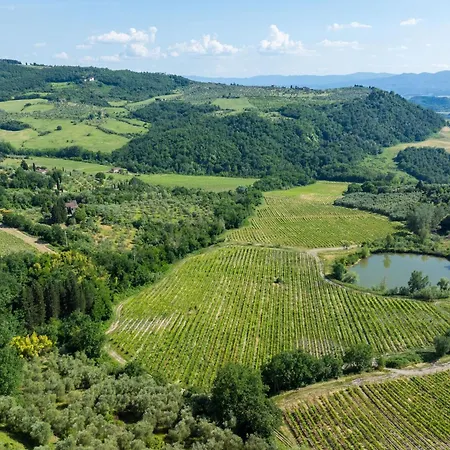 San Guido By Posarellivillas Pelago